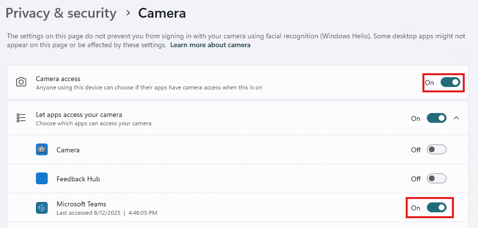 Camera Access Turned On